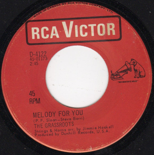 The Grass Roots : Melody For You (7")