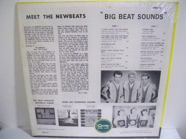 The Newbeats : Big Beat Sounds By The Newbeats (LP, Mono, Promo)