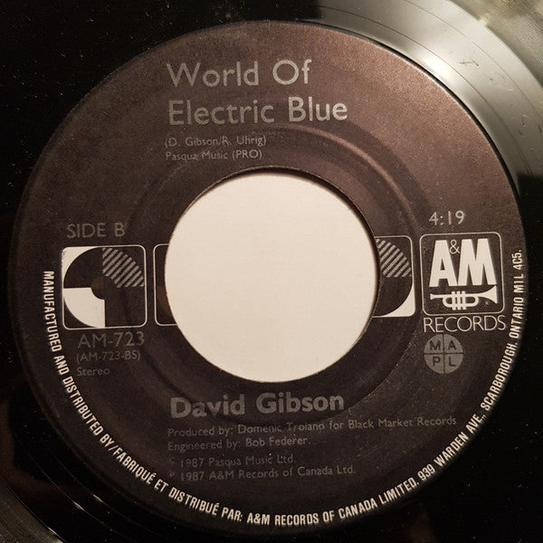 David Gibson (4) : Look Who's Crying Now (7", Single)