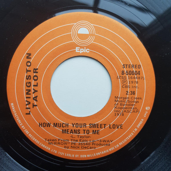 Livingston Taylor : I Will Be In Love With You (7", Single)