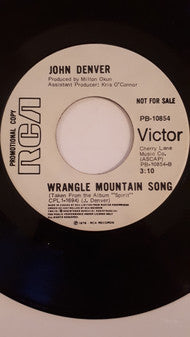 John Denver : Baby, You Look Good To Me Tonight (7", Promo)