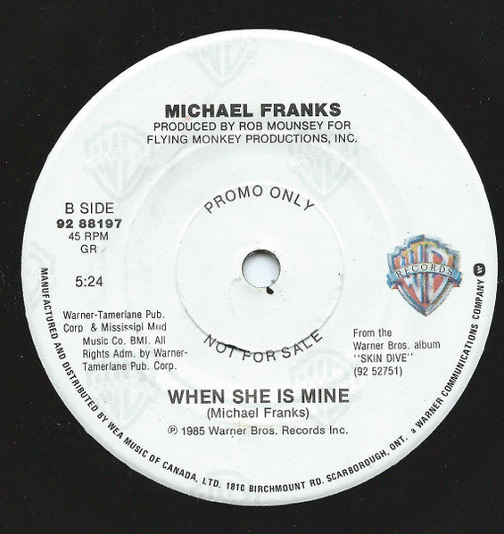 Michael Franks Featuring Brenda Russell (2) : When I Give My Love To You (7", Single, Promo)