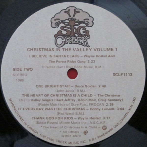 Various : Christmas In The Valley Vol. 1 (LP, Album)