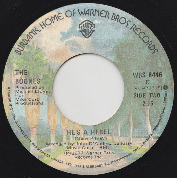 Debby Boone / The Boones : You Light Up My Life / He's A Rebel (7", Single)