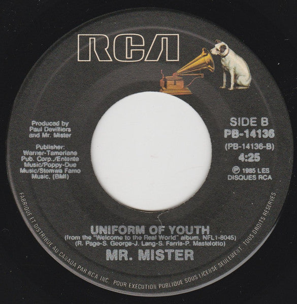 Mr. Mister : Broken Wings (7", Single)