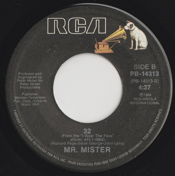 Mr. Mister : Is It Love (7")