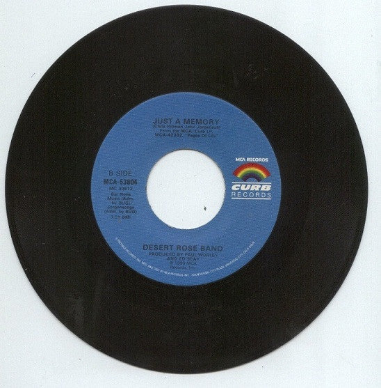 Desert Rose Band : In Another Lifetime (7")