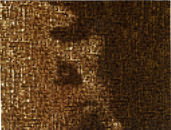 Neil Young : Silver & Gold (HDCD, Album)