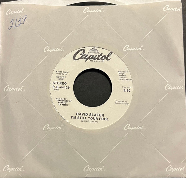 David Slater : I'm Still Your Fool (7", Promo)