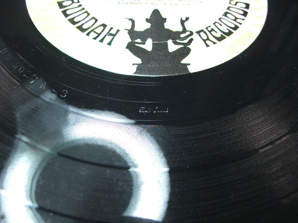 1910 Fruitgum Company : Goody Goody Gumdrops (LP, Album)