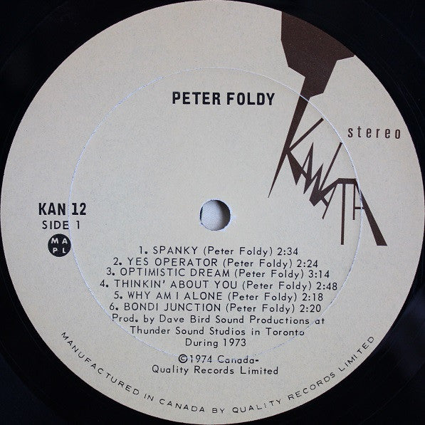 Peter Foldy : Peter Foldy (LP, Album)