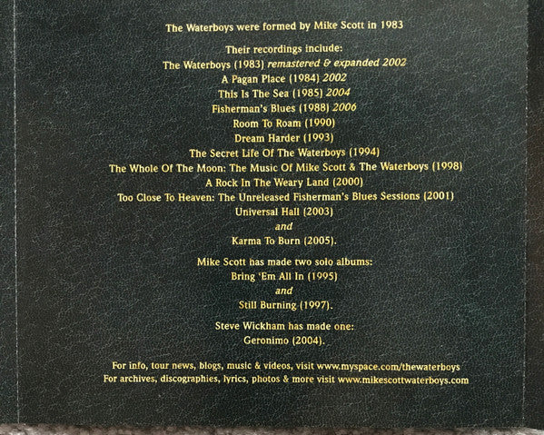 The Waterboys : Book Of Lightning (CD, Album)
