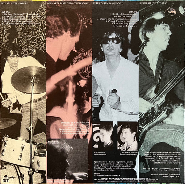 The Fleshtones : Roman Gods (LP, Album)