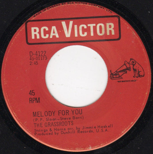 The Grass Roots : Melody For You (7")