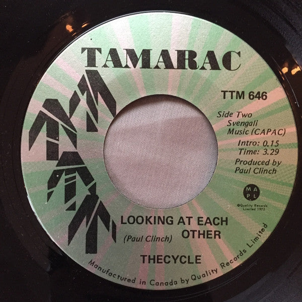 The Cycle : All I Really Need Is You / Looking At Each Other (7", Single)