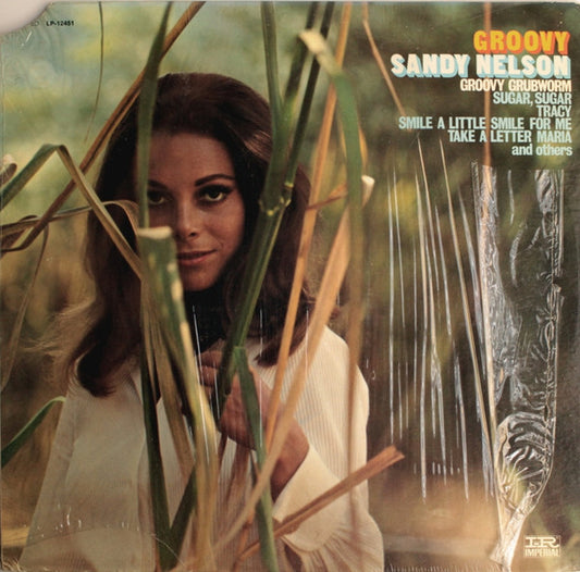 Sandy Nelson : Groovy (LP, Album)