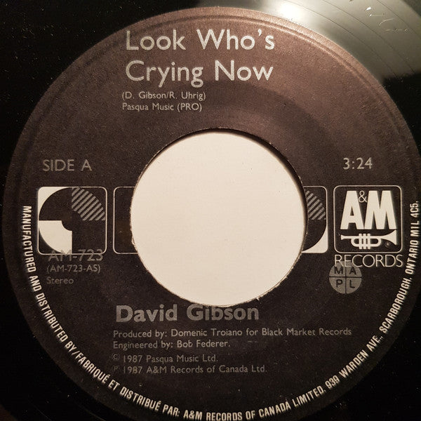 David Gibson (4) : Look Who's Crying Now (7", Single)