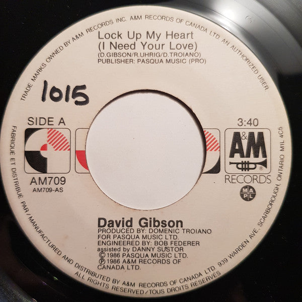 David Gibson (4) : Lock Up My Heart (I Need Your Love) (7", Single)
