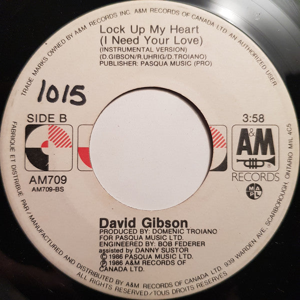 David Gibson (4) : Lock Up My Heart (I Need Your Love) (7", Single)
