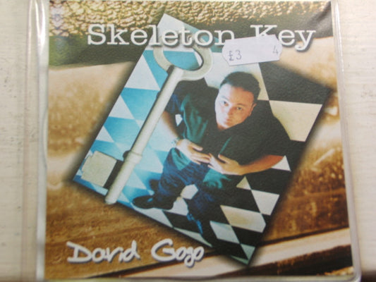 David Gogo : Skeleton Key (CD, Album, RE)