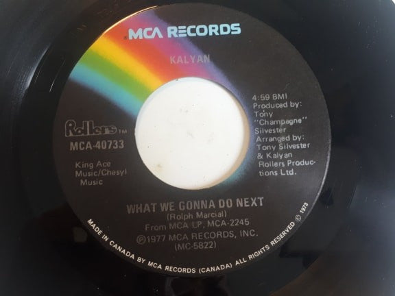 Kalyan : Nice 'N' Slow / What We Gonna Do Next (7")