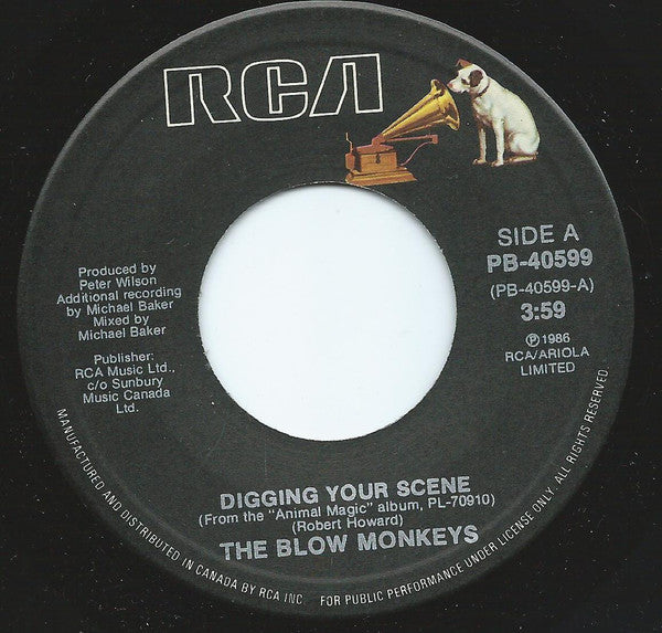 The Blow Monkeys : Digging Your Scene (7")