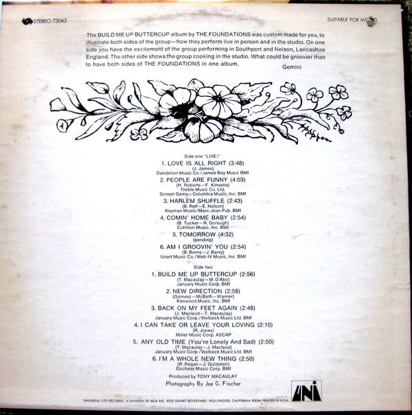 The Foundations : Build Me Up Buttercup (LP, Album)