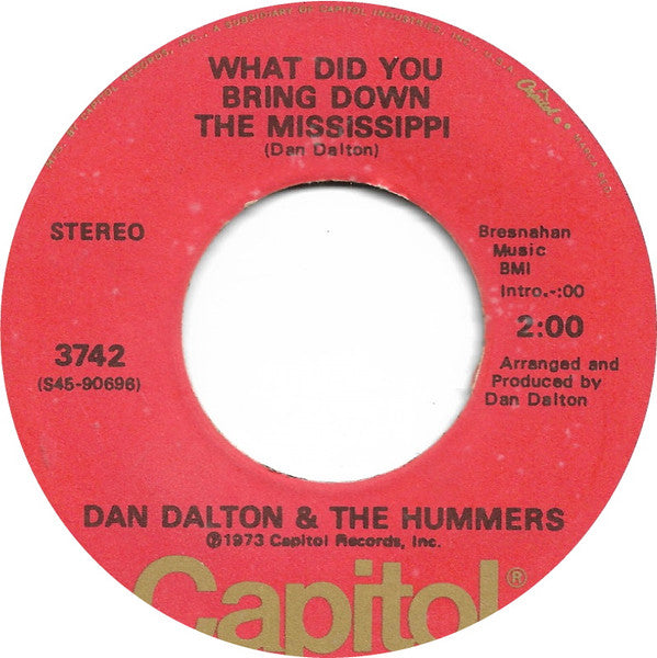 Dan Dalton & The Hummers (3) : Male Chauvinist Pig (7")