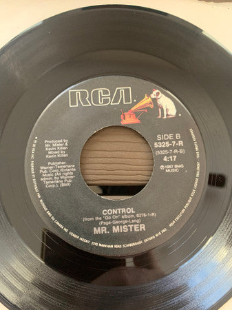 Mr. Mister : The Border (7", Single)
