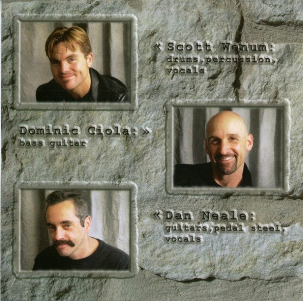 Martin Zellar & The Hardways : Scattered (CD, Album)