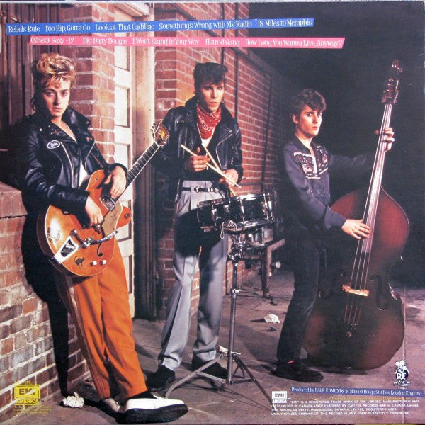 Stray Cats : Rant N' Rave With The Stray Cats (LP, Album)