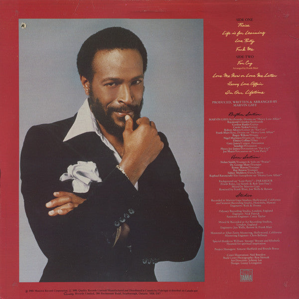 Marvin Gaye : In Our Lifetime (LP, Album)