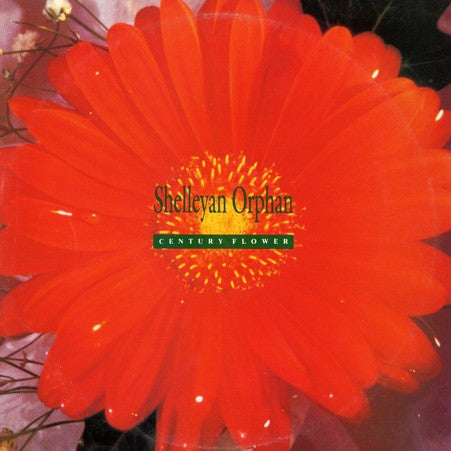 Shelleyan Orphan : Century Flower (LP, Album)