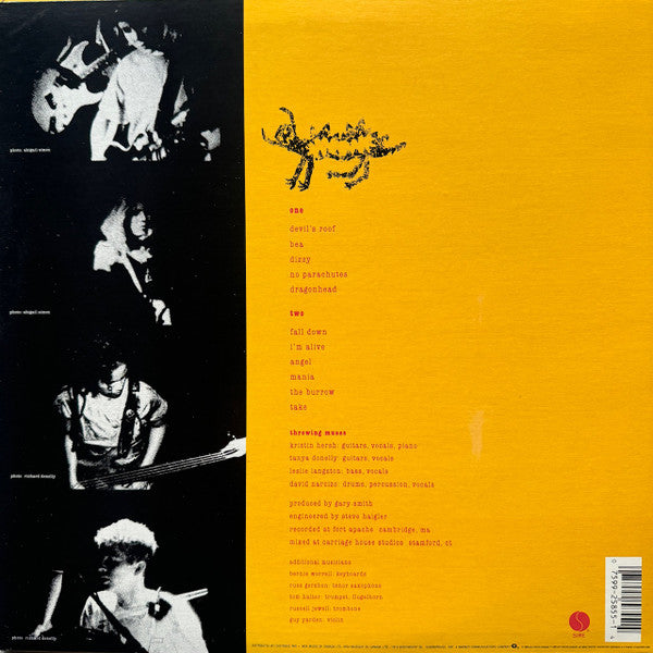 Throwing Muses : Hunkpapa (LP, Album)