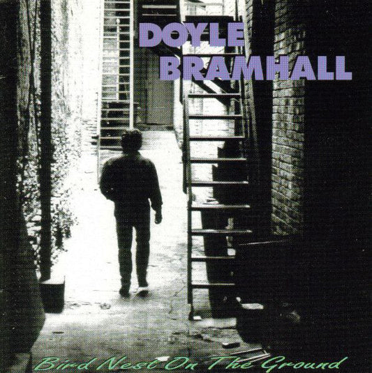 Doyle Bramhall : Bird Nest On The Ground (CD, Album)