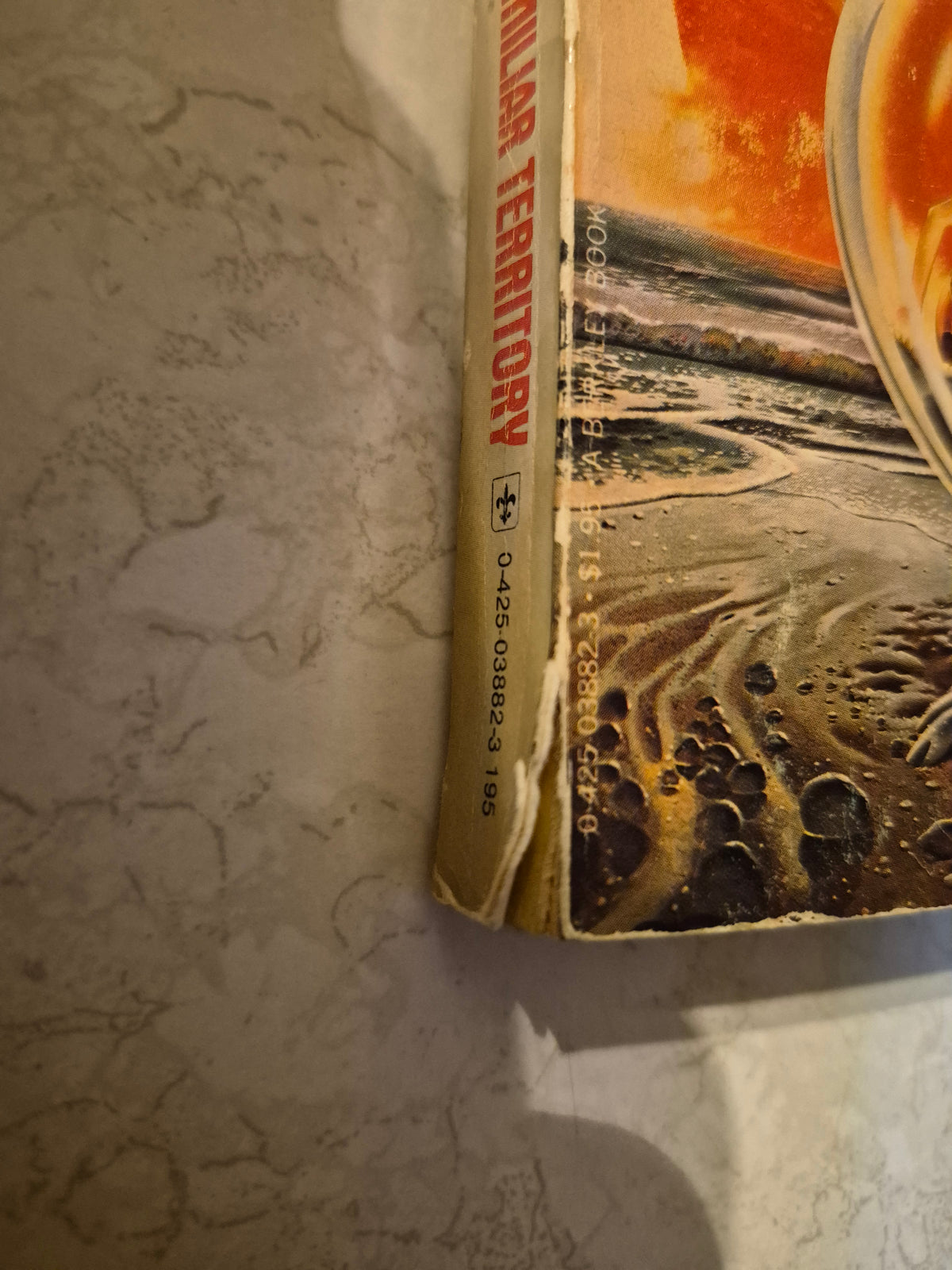 Close-up showing separation of the outer front cover at the lower spine; page binding reportedly secure