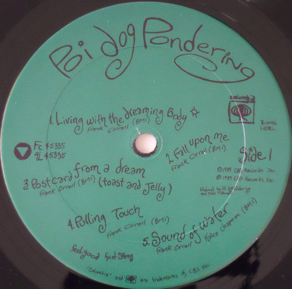 Poi Dog Pondering : Poi Dog Pondering (LP, Album)
