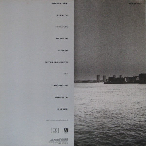 Bryan Adams : Into The Fire (LP, Album)
