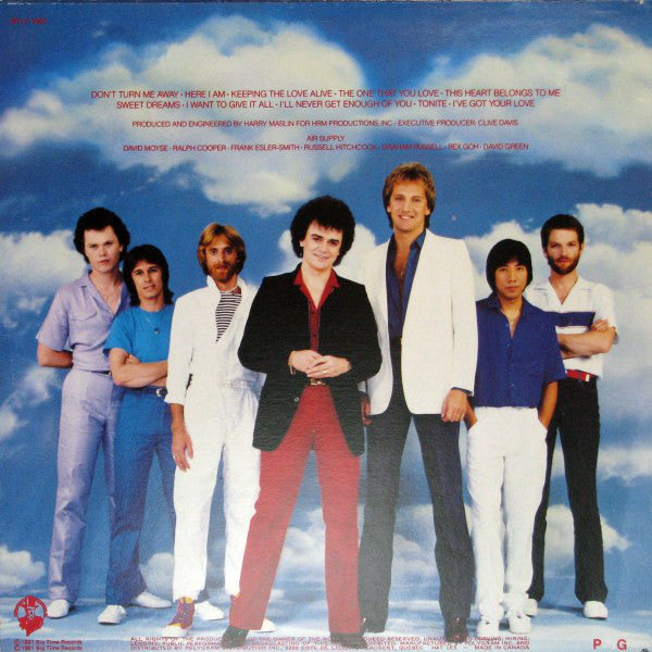 Buy Air Supply : The One That You Love (LP, Album) Online for a