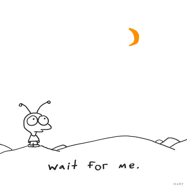 Moby : Wait For Me (CD, Album)