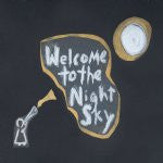 Wintersleep : Welcome To The Night Sky (CD, Album)