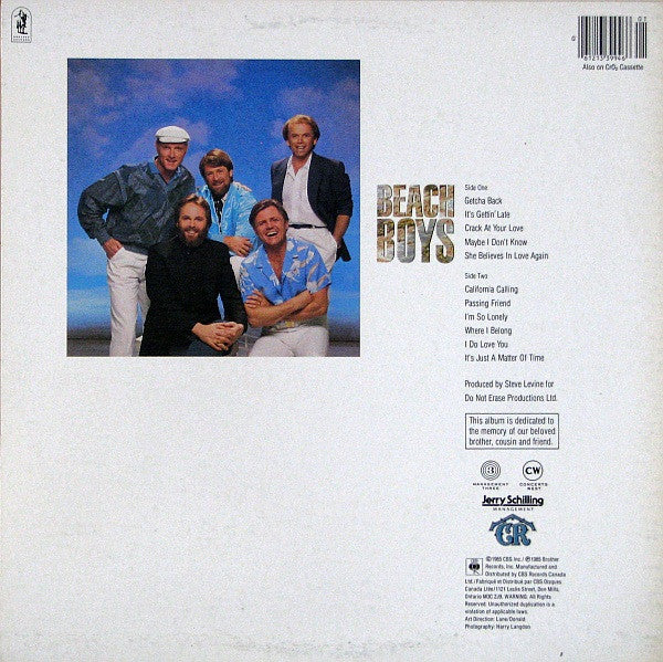 The Beach Boys : The Beach Boys (LP, Album)