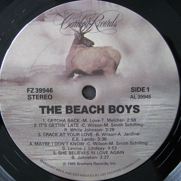 The Beach Boys : The Beach Boys (LP, Album)