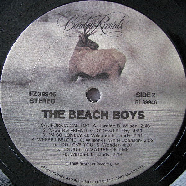 The Beach Boys : The Beach Boys (LP, Album)