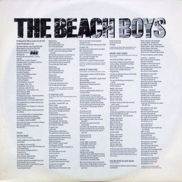 The Beach Boys : The Beach Boys (LP, Album)