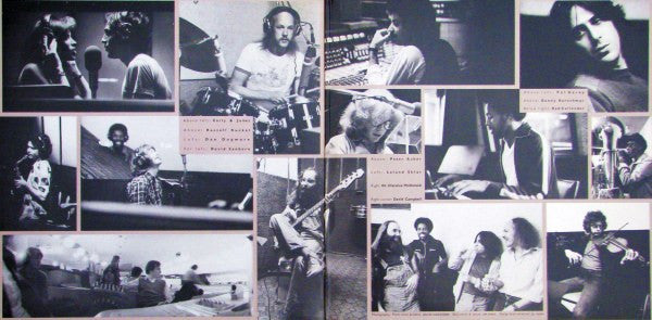 James Taylor (2) : JT (LP, Album, Gat)
