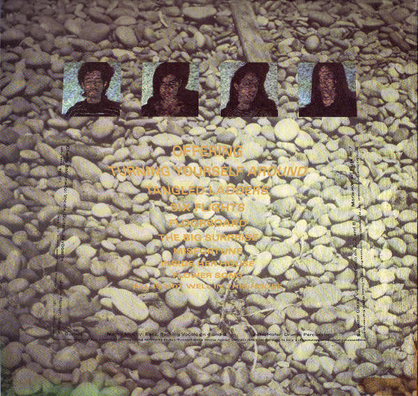 Downy Mildew : Mincing Steps (LP, Album)