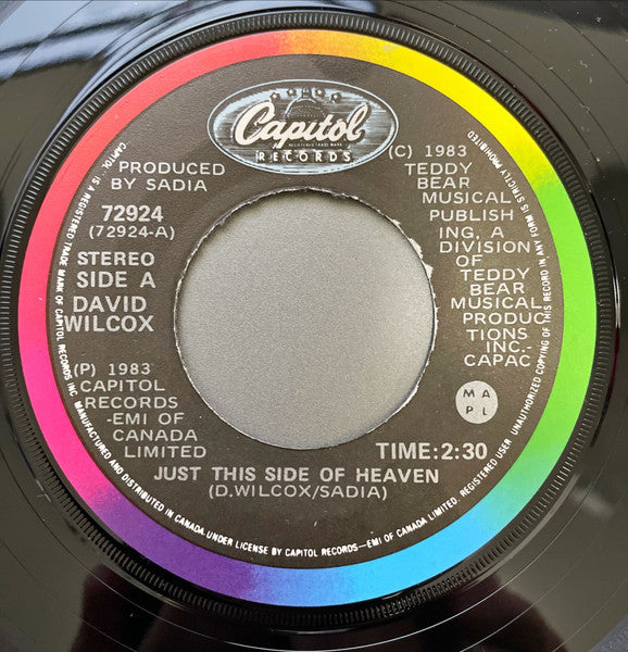 David Wilcox (2) : Just This Side Of Heaven (7", Single)