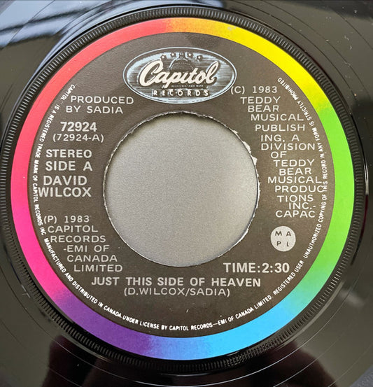David Wilcox (2) : Just This Side Of Heaven (7", Single)