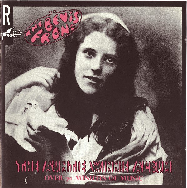 The Bevis Frond : The Auntie Winnie Album (CD, Album)